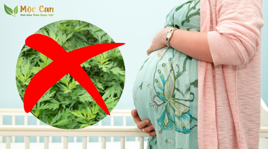 RAU NGẢI CỨU CHỮA RỐI LOẠN TIỀN ĐÌNH ĐƯỢC KHÔNG? 2